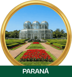 Prêmio viagem para o Paraná